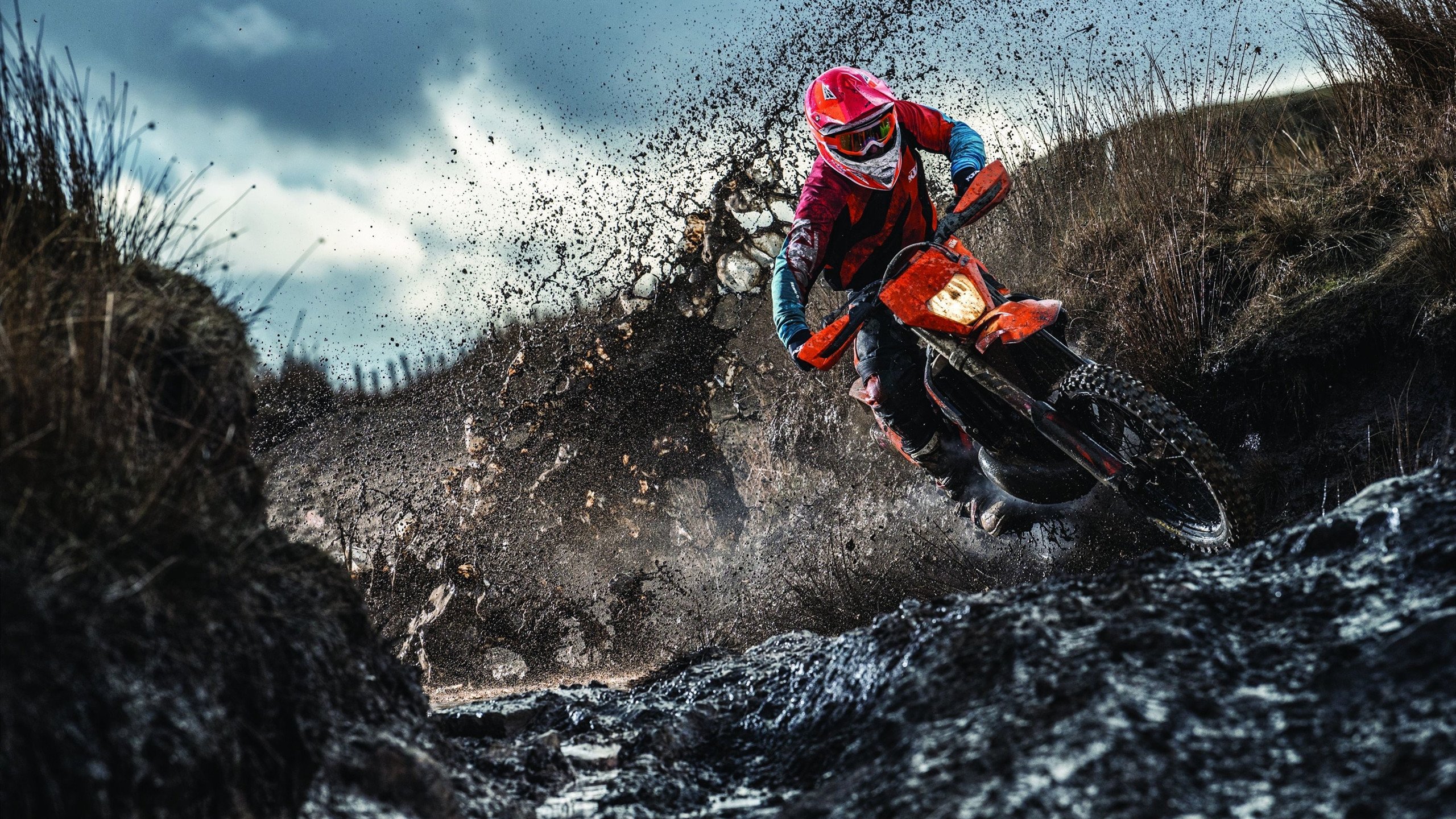 亚冠海港VS武里南联：7将缺阵，两大外援出击，吕文君李圣龙临危受命